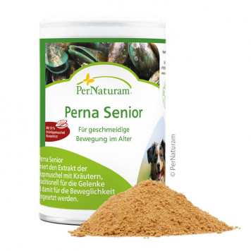 Perna Senior für Hunde