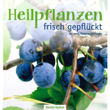 Heilpflanzen frisch gepflückt, Höflinger