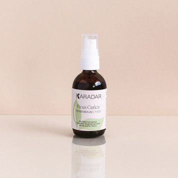 Gemmomazerat Feigenbaum - Ficus Carica bio